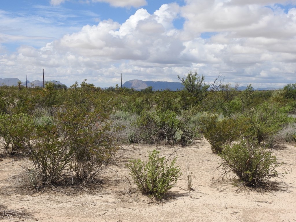 51345 State Hwy 118 S #10.19 ACRES, Terlingua, Texas image 12