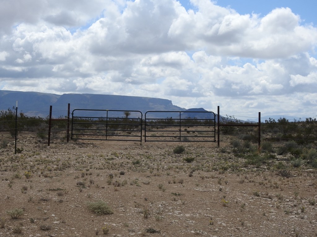 51345 State Hwy 118 S #10.19 ACRES, Terlingua, Texas image 3