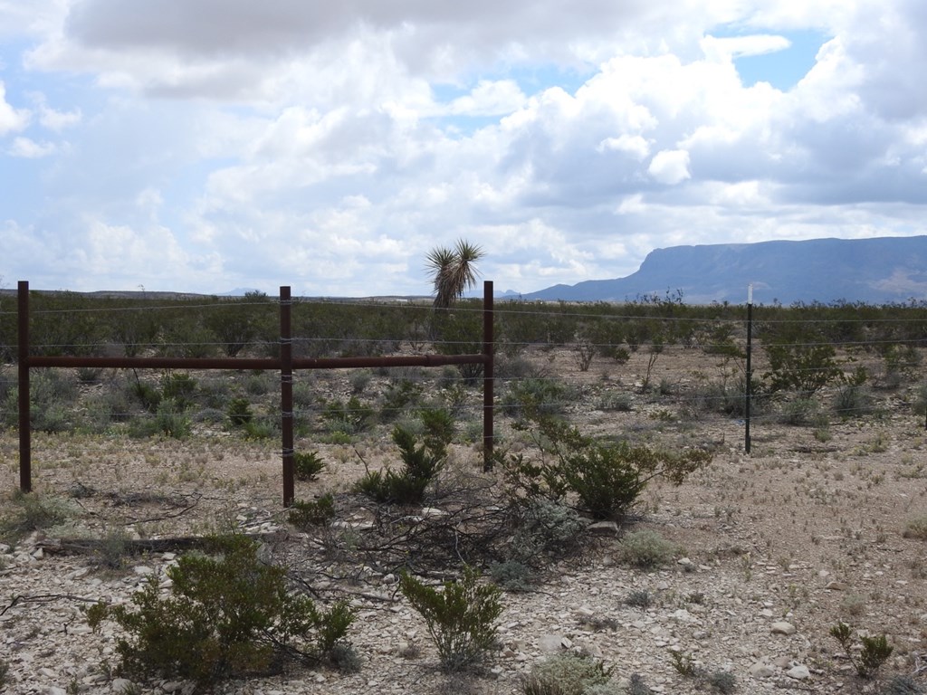 51345 State Hwy 118 S #10.19 ACRES, Terlingua, Texas image 6