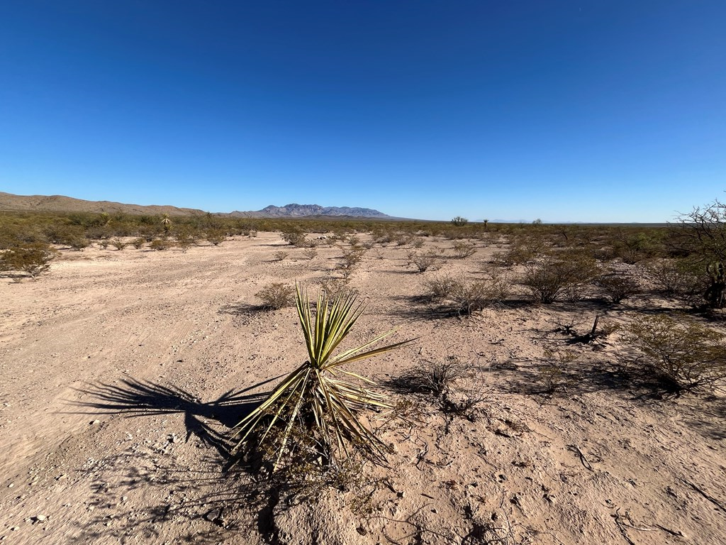 201 Wells Fargo Ln, Sierra Blanca, Texas image 21