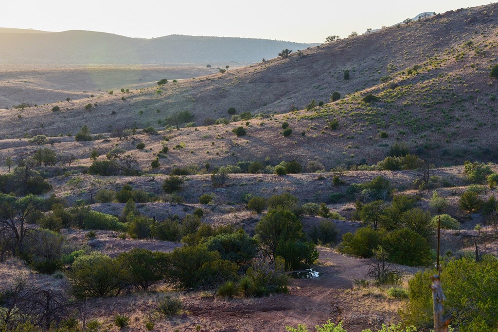 215 Warbonnet Road, Fort Davis, Texas image 37