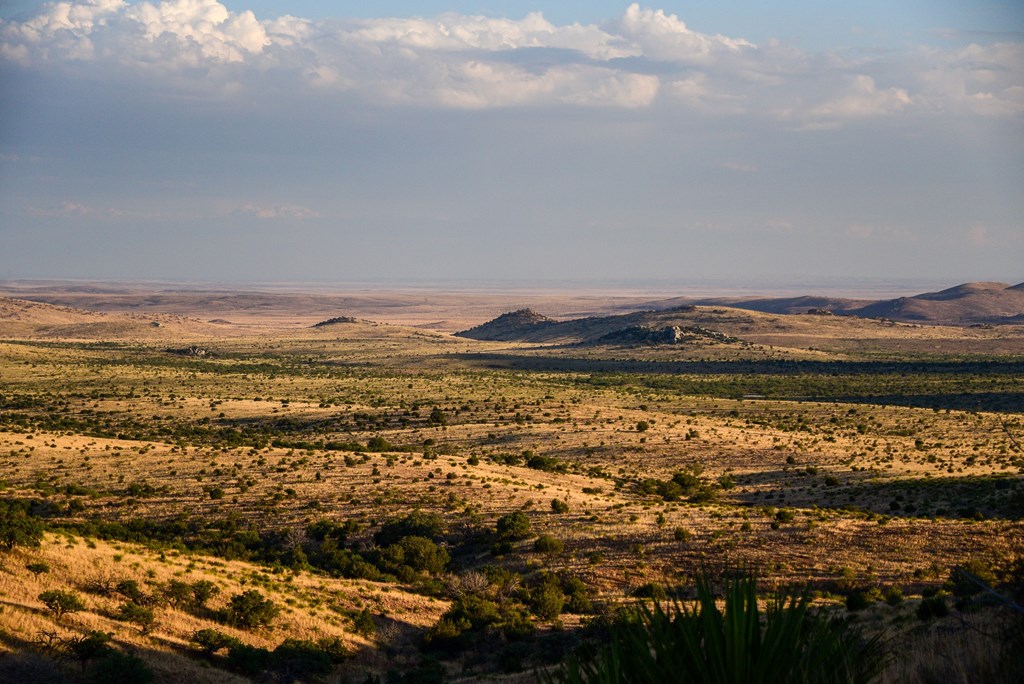 215 Warbonnet Road, Fort Davis, Texas image 41