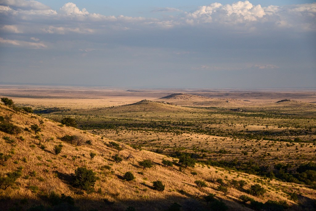 215 Warbonnet Road, Fort Davis, Texas image 5