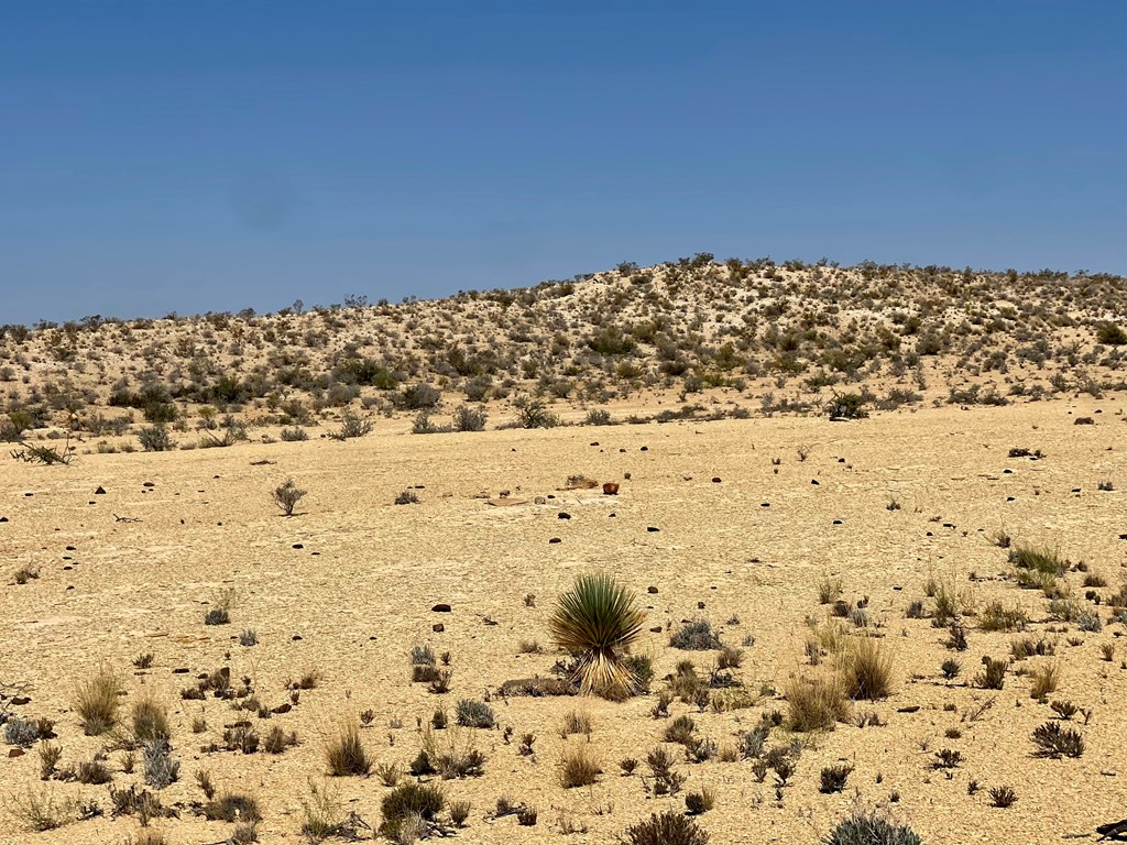 F 713 Wallace, Terlingua, Texas image 6