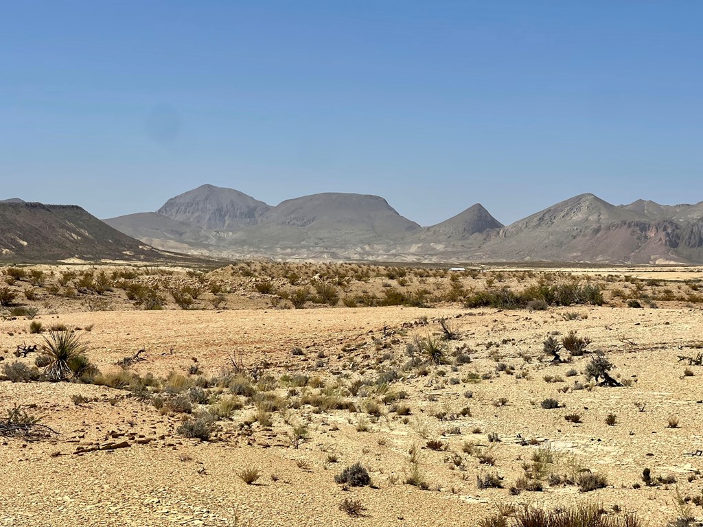 F 713 Wallace, Terlingua, Texas image 8