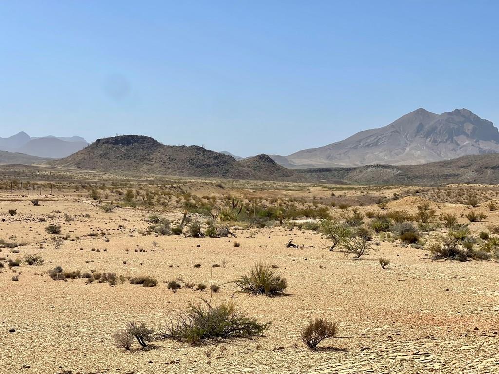 F 713 Wallace, Terlingua, Texas image 1