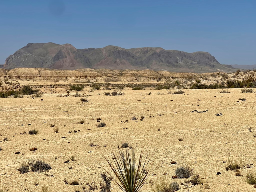 F 713 Wallace, Terlingua, Texas image 3