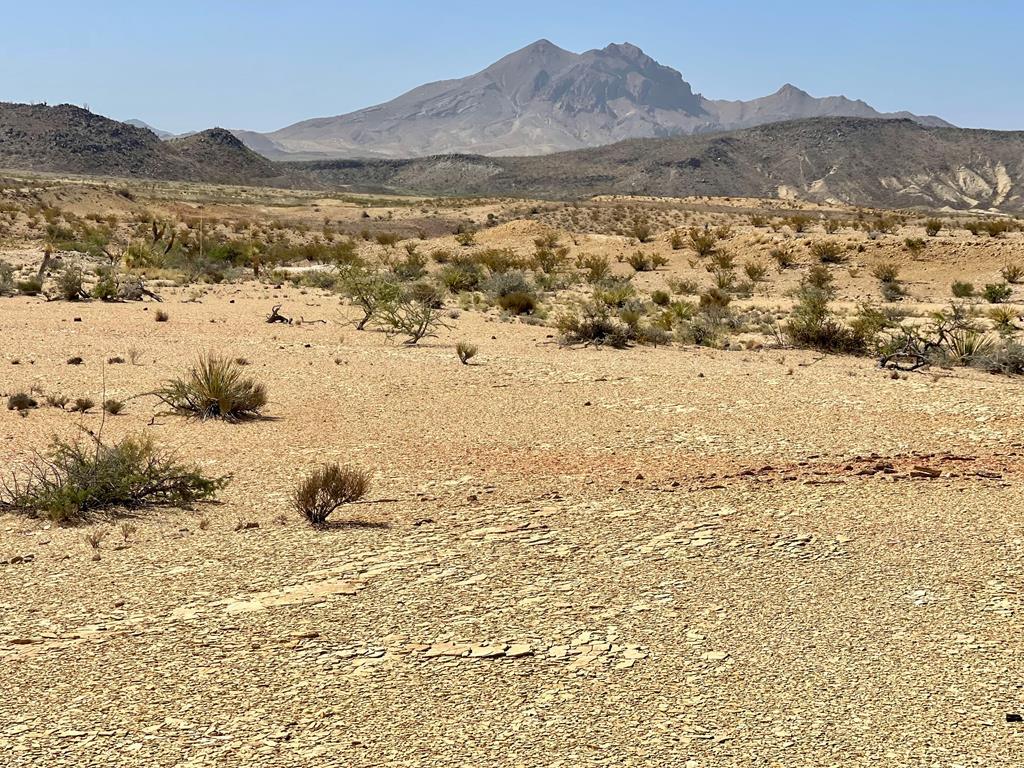 F 713 Wallace, Terlingua, Texas image 2