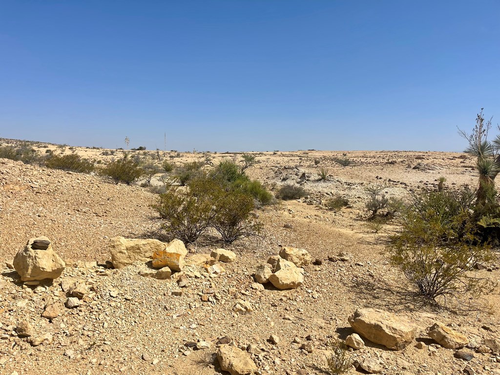 F 713 Wallace, Terlingua, Texas image 5