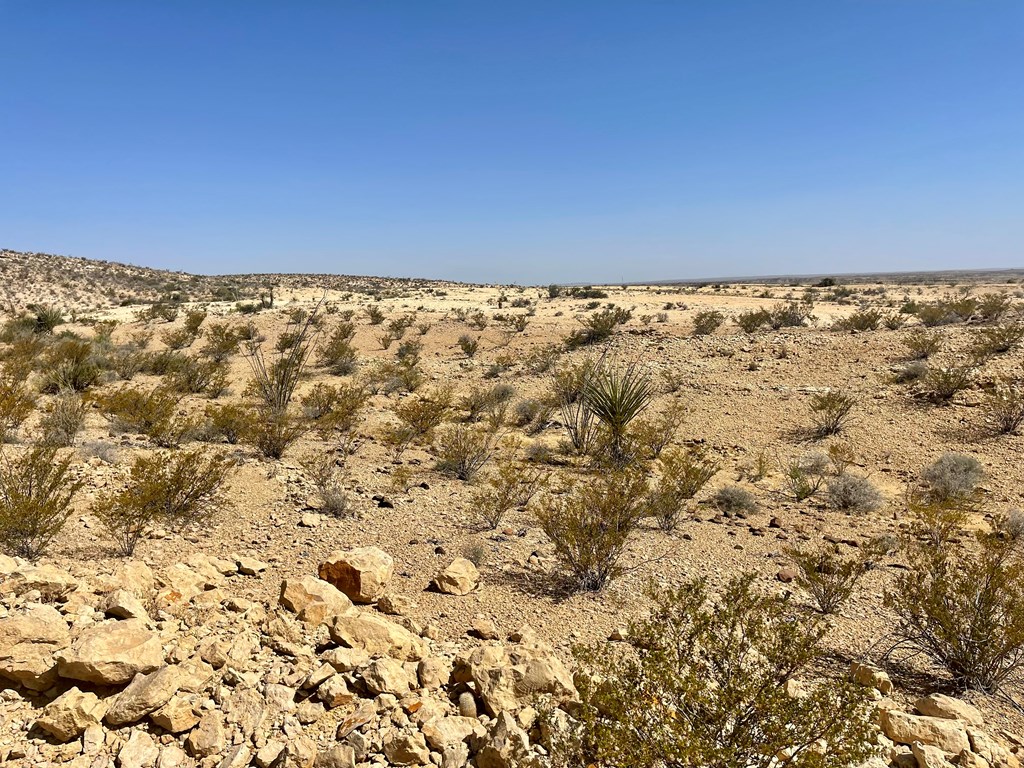 F 713 Wallace, Terlingua, Texas image 4