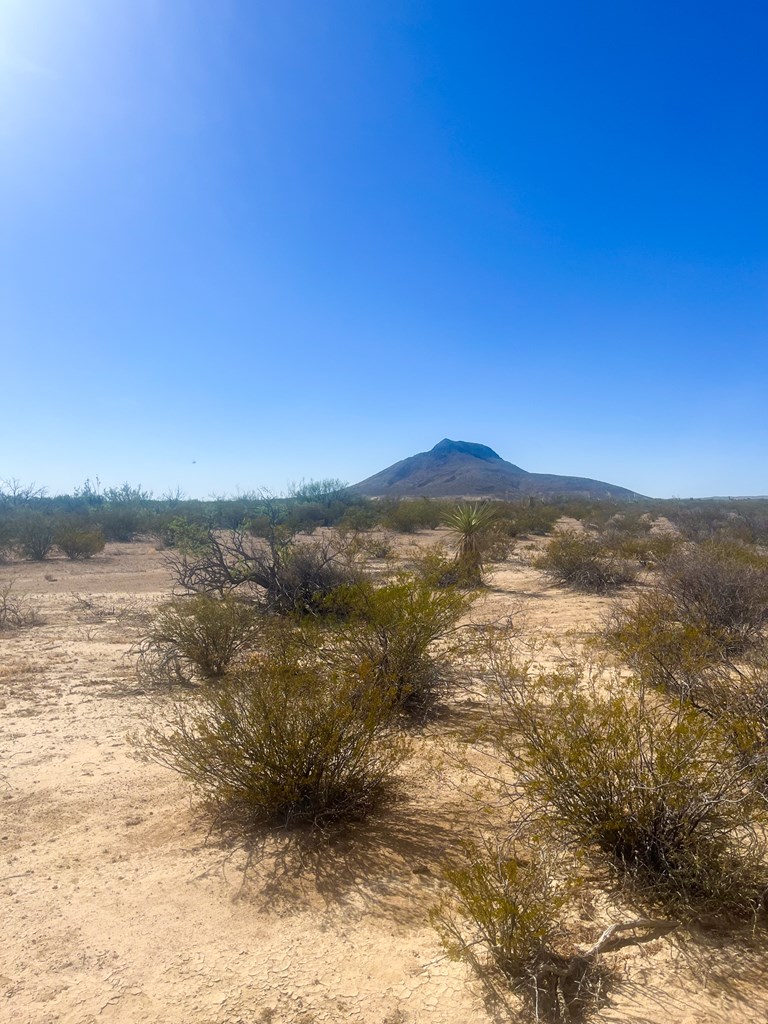 800 Antonio Road, Terlingua, Texas image 4