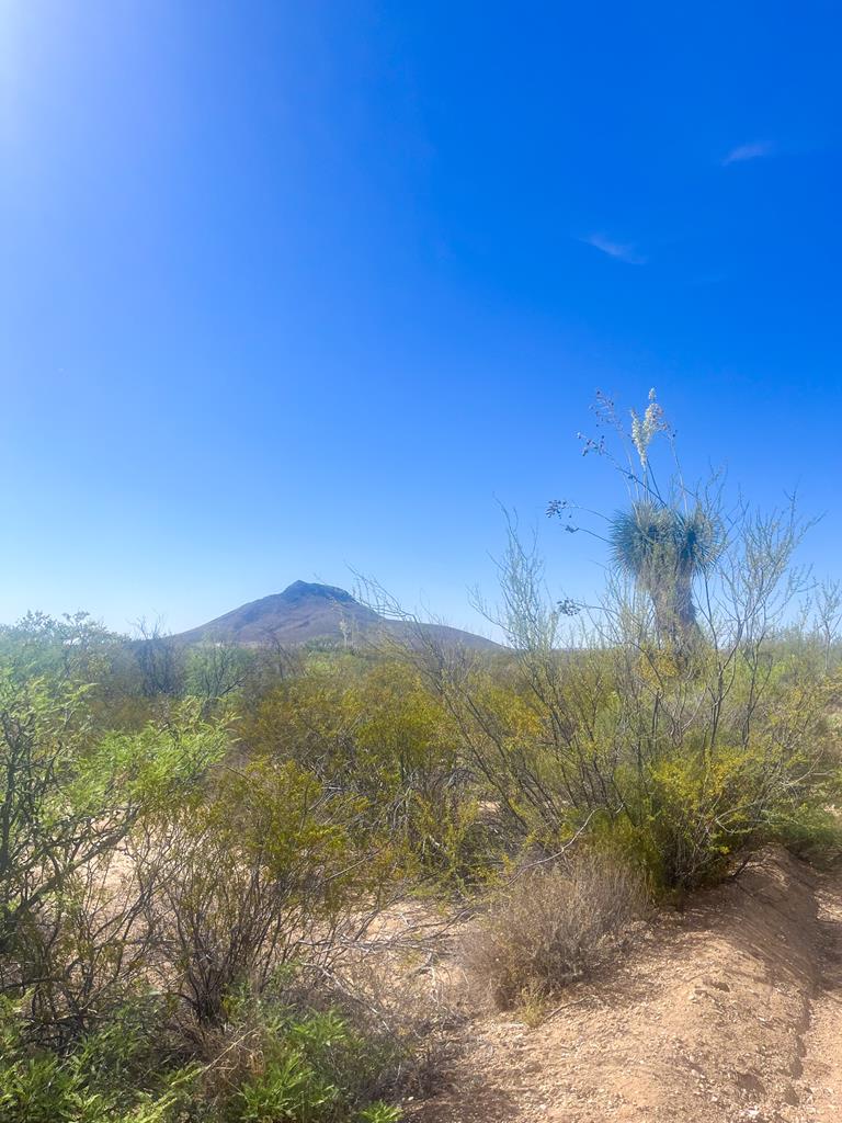 800 Antonio Road, Terlingua, Texas image 1