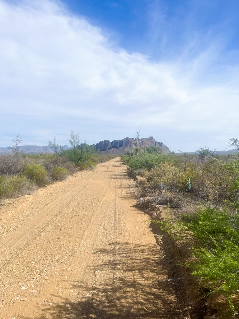 800 Antonio Road, Terlingua, Texas image 7