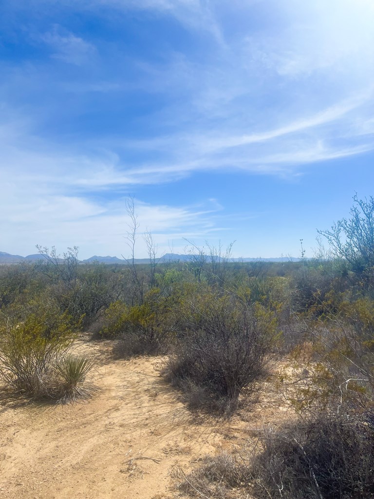 800 Antonio Road, Terlingua, Texas image 2