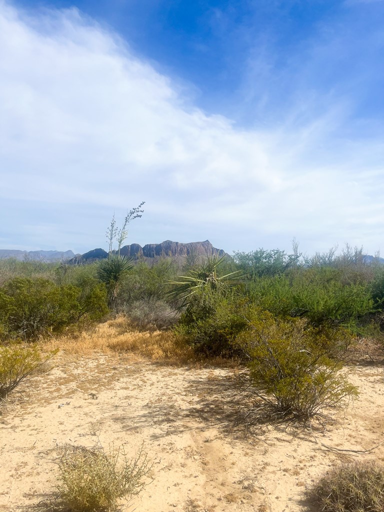 800 Antonio Road, Terlingua, Texas image 5