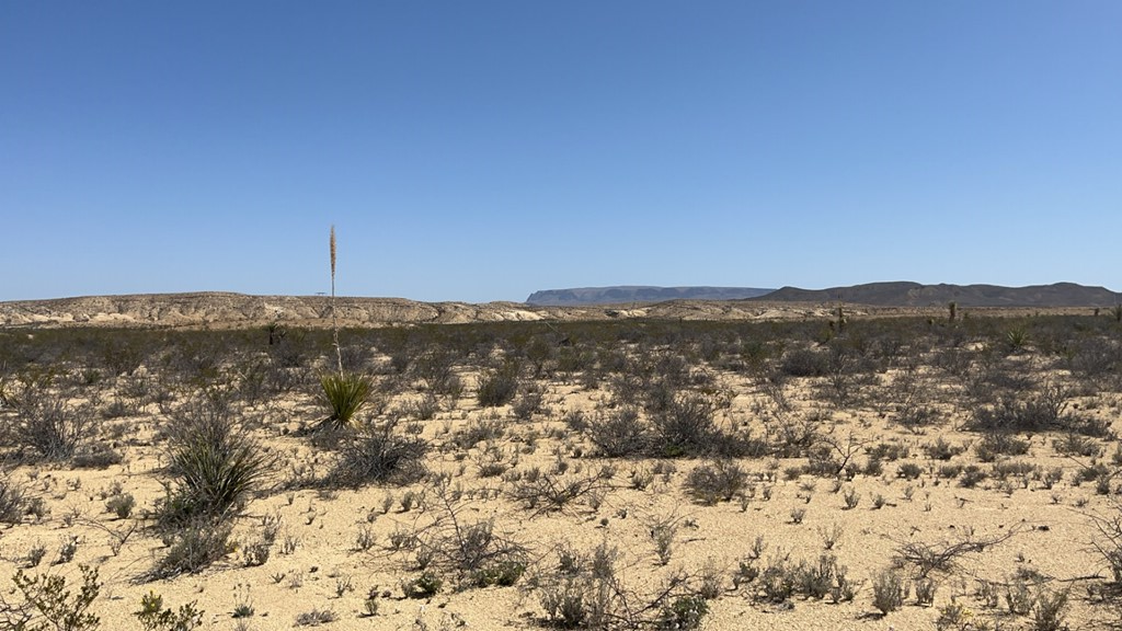 1800 La Luna Rd, Terlingua, Texas image 13