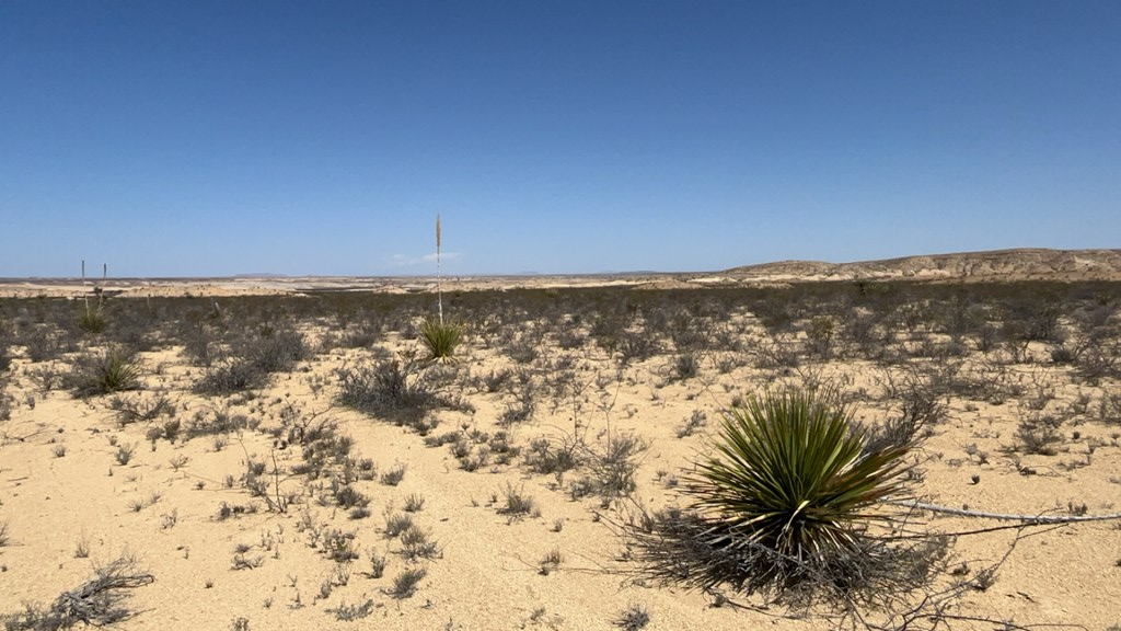 1800 La Luna Rd, Terlingua, Texas image 6