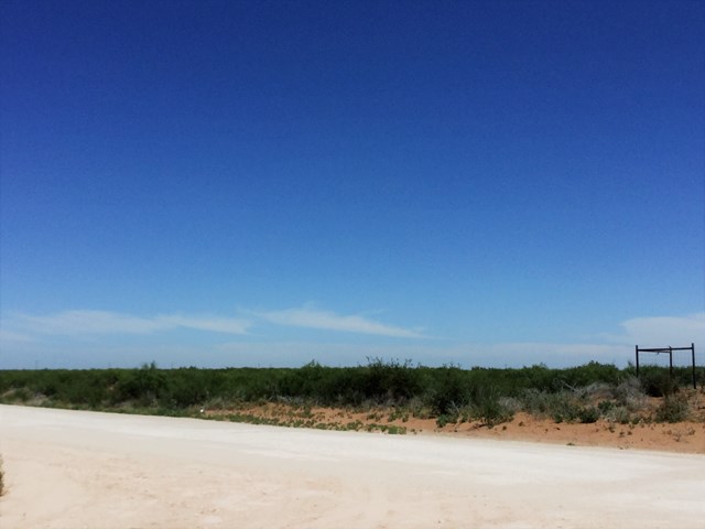 TBD Steeple O Parkway, Monahans, Texas image 7