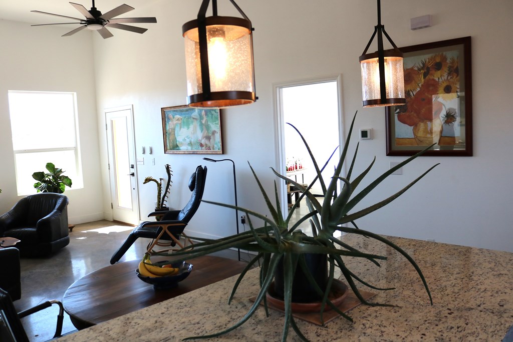 418 Sagebrush Rd, Alpine, Texas image 5