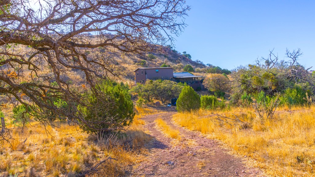 206 N Dave Street #26, Fort Davis, Texas image 6