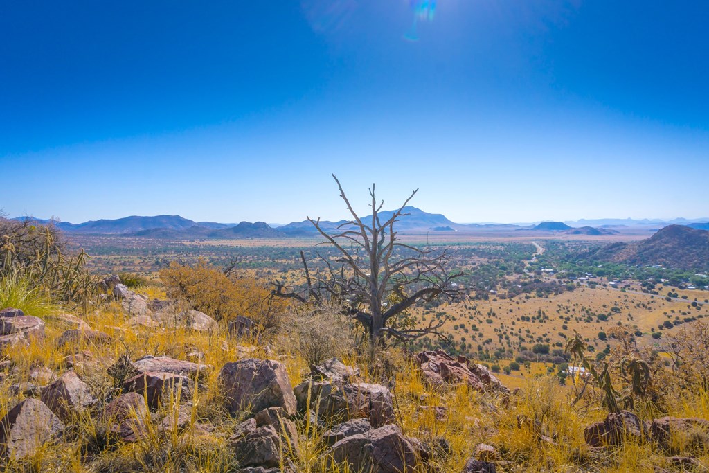 206 N Dave Street #26, Fort Davis, Texas image 4