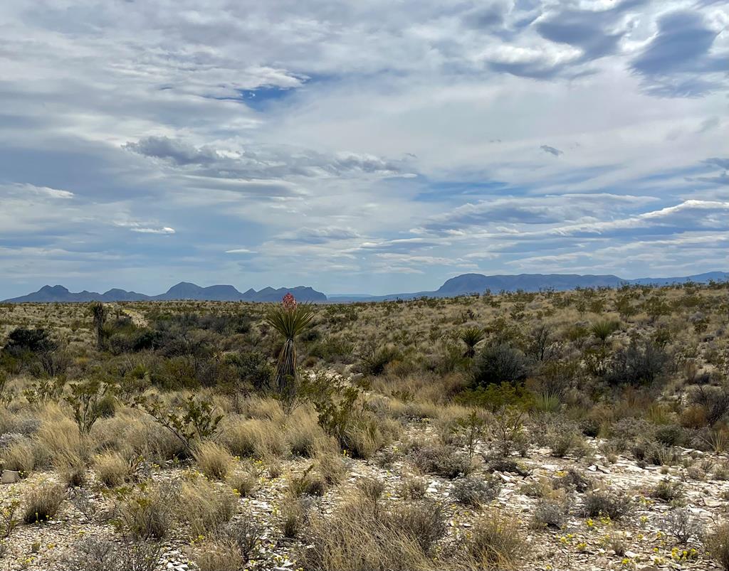 TR:G 631 Mcintyre, Terlingua, Texas image 1