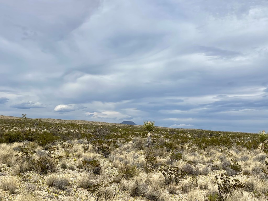 TR:G 631 Mcintyre, Terlingua, Texas image 5