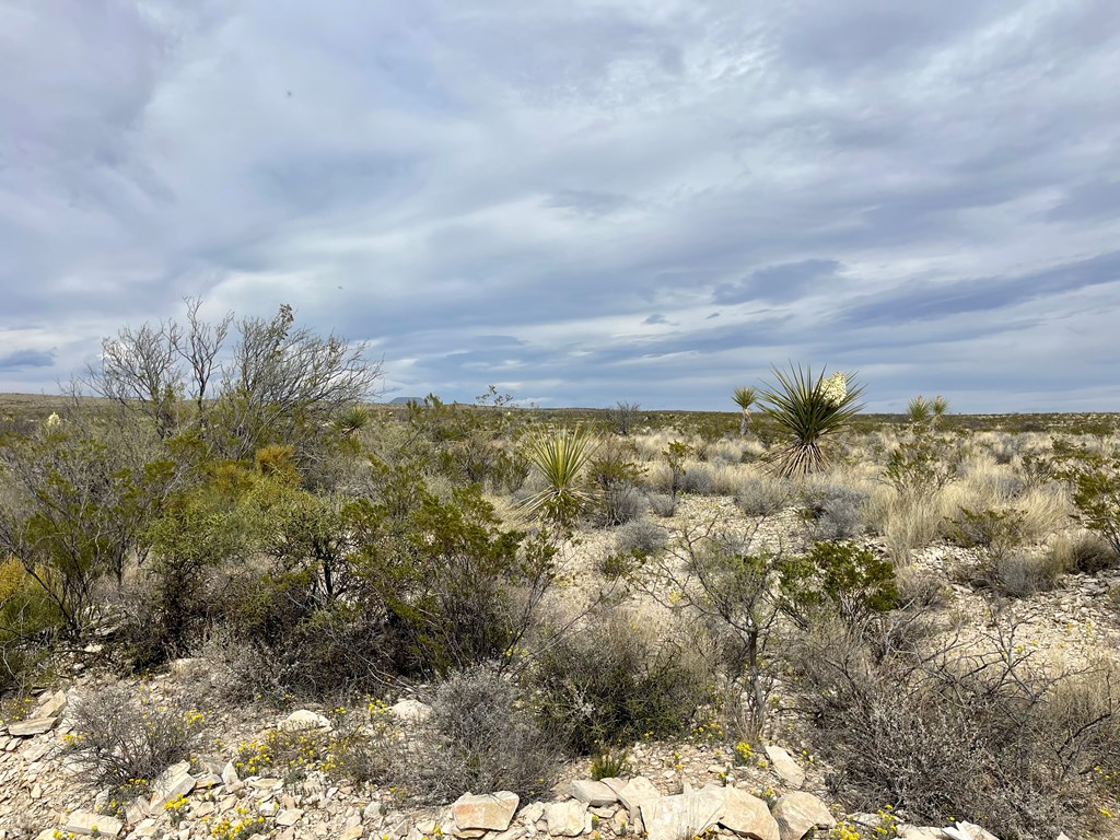 TR:G 631 Mcintyre, Terlingua, Texas image 4