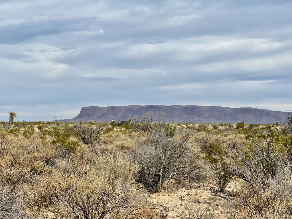 TR:G 631 Mcintyre, Terlingua, Texas image 2