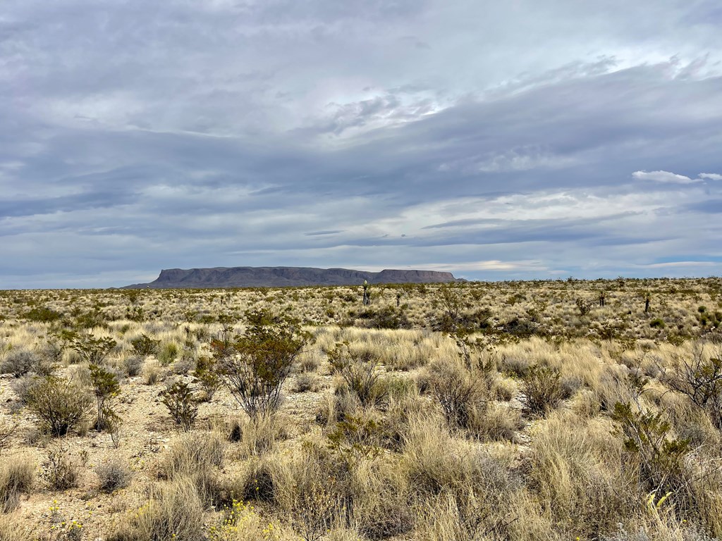 TR:G 631 Mcintyre, Terlingua, Texas image 3