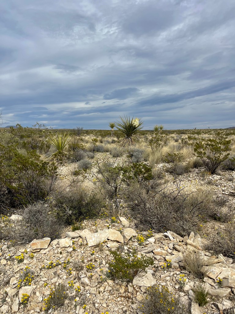 TR:G 631 Mcintyre, Terlingua, Texas image 6