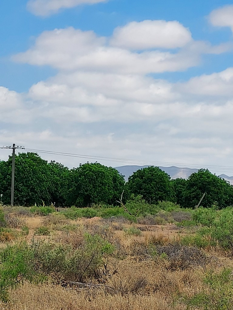 00 Fm 2185, Van Horn, Texas image 3