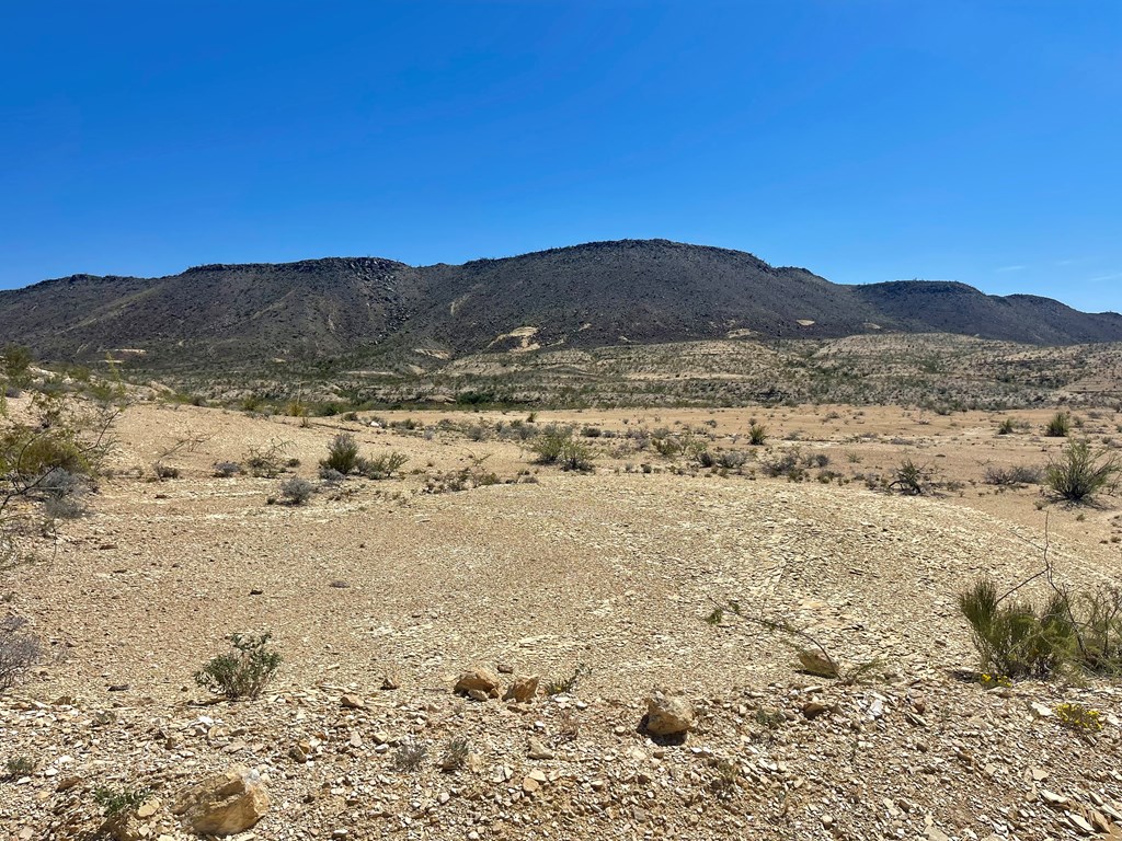 BLK 217 Mailbox Rd, Terlingua, Texas image 39