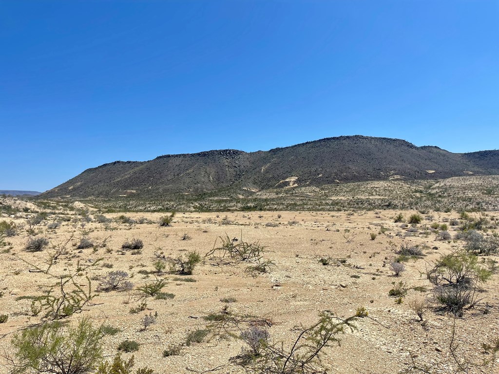 BLK 217 Mailbox Rd, Terlingua, Texas image 28