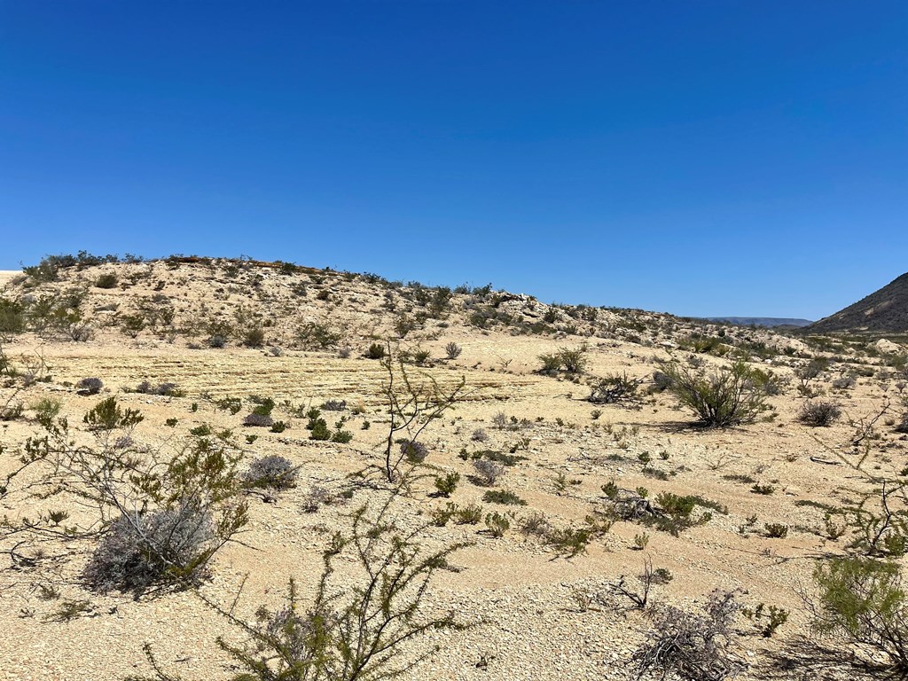 BLK 217 Mailbox Rd, Terlingua, Texas image 29