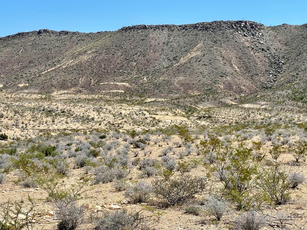 BLK 217 Mailbox Rd, Terlingua, Texas image 4