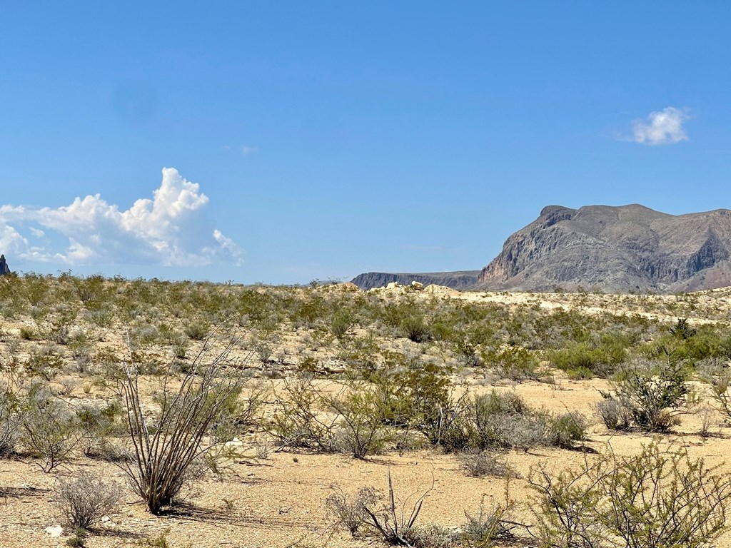 BLK 217 Mailbox Rd, Terlingua, Texas image 16