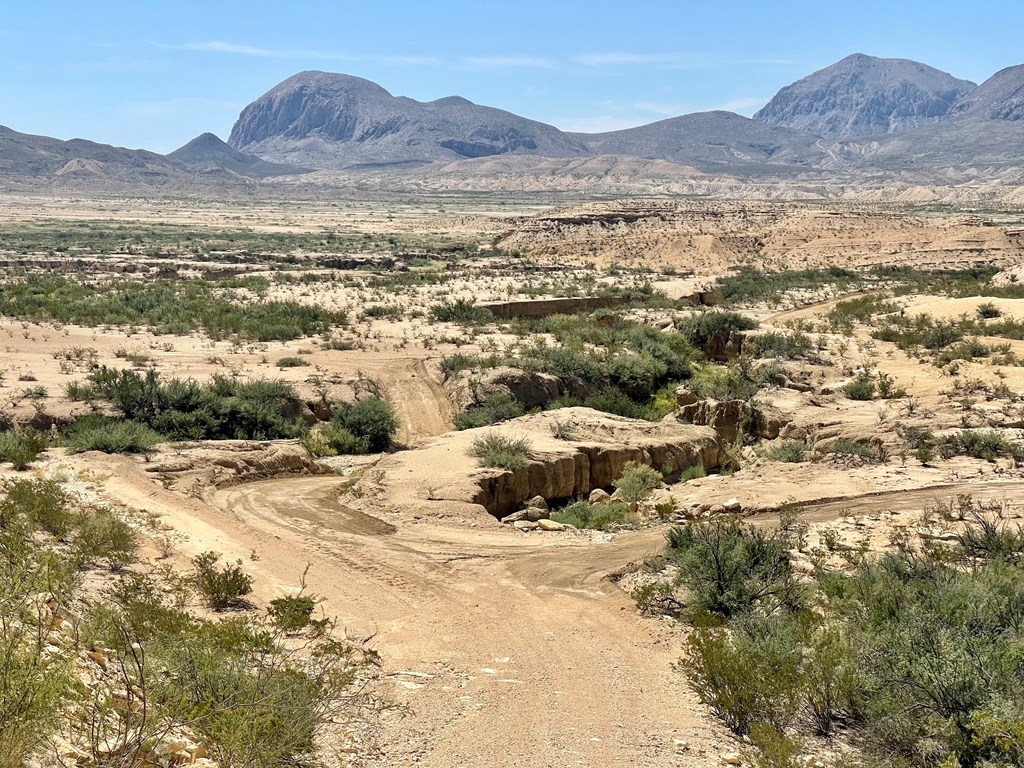 BLK 217 Mailbox Rd, Terlingua, Texas image 33