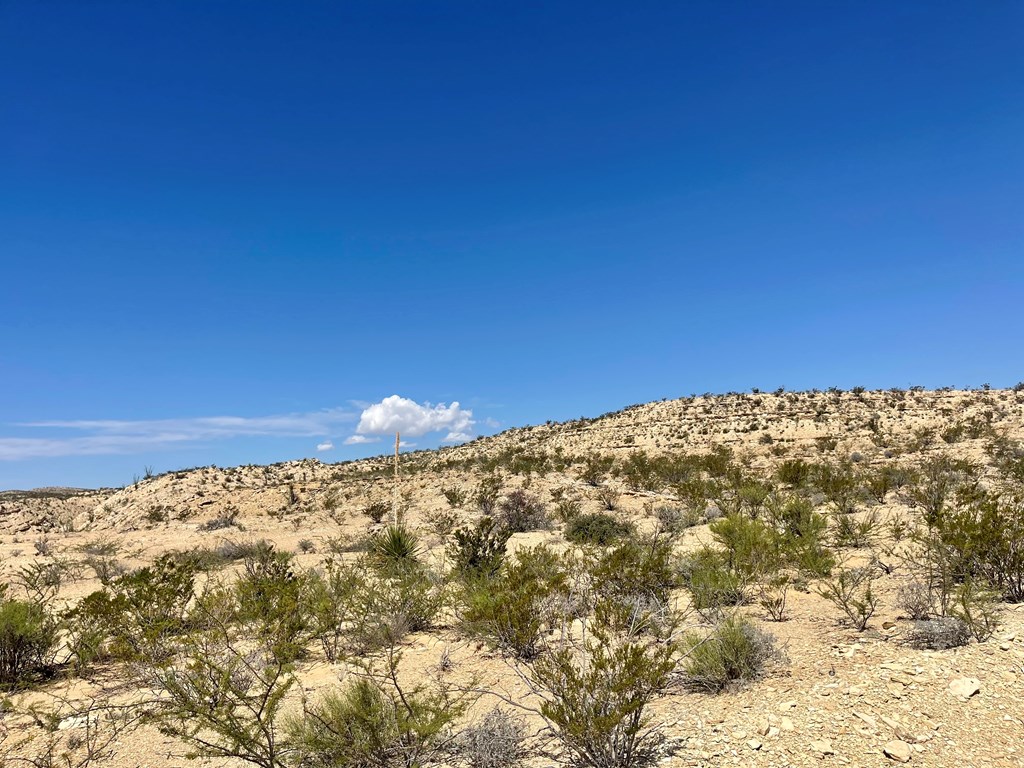 BLK 217 Mailbox Rd, Terlingua, Texas image 30