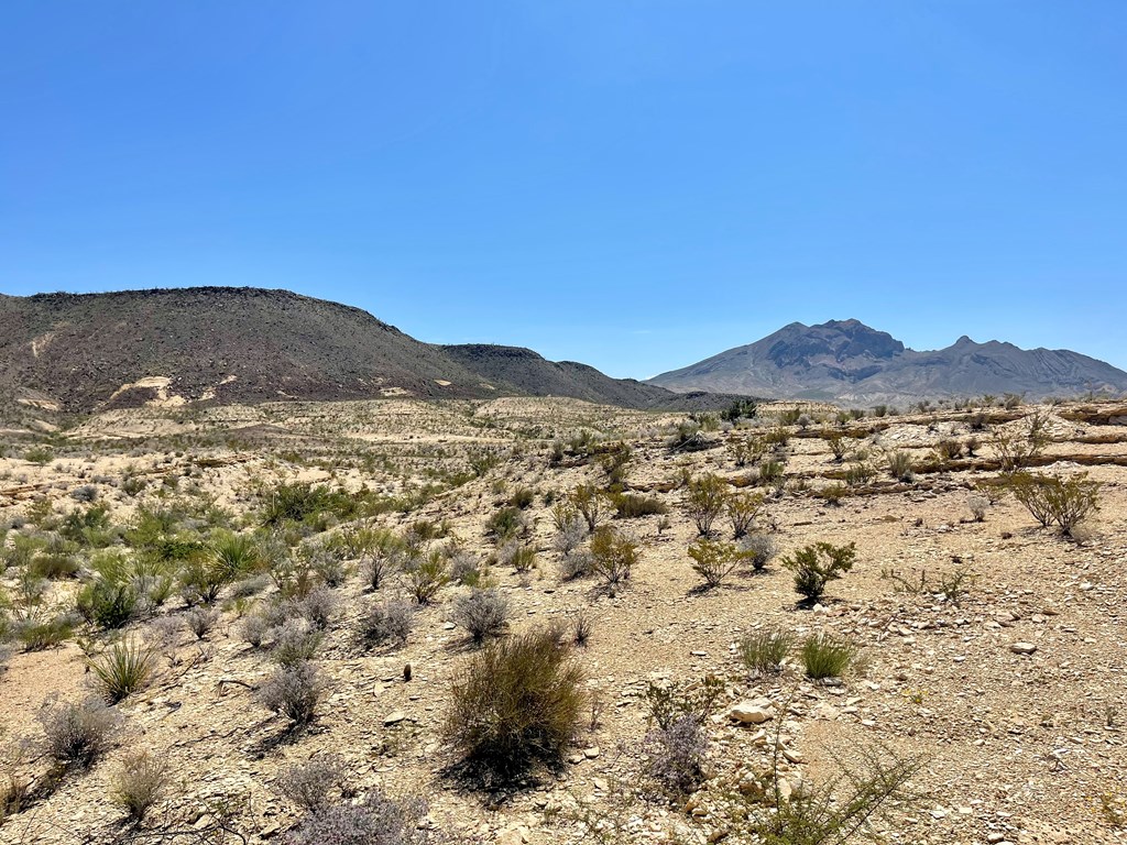 BLK 217 Mailbox Rd, Terlingua, Texas image 11