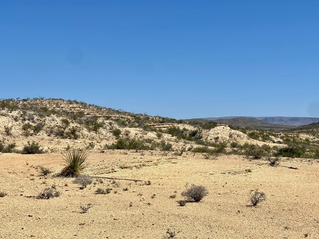 BLK 217 Mailbox Rd, Terlingua, Texas image 25