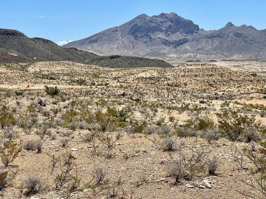 BLK 217 Mailbox Rd, Terlingua, Texas image 2