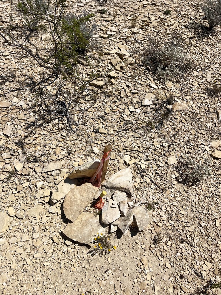 BLK 217 Mailbox Rd, Terlingua, Texas image 48