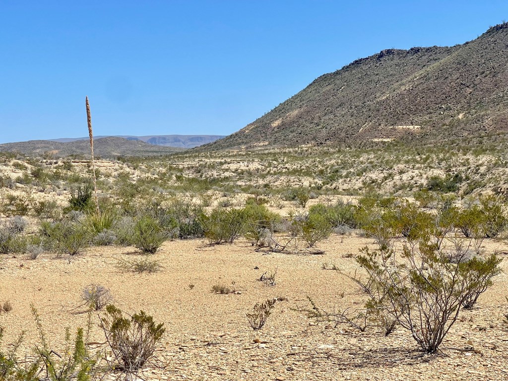 BLK 217 Mailbox Rd, Terlingua, Texas image 24