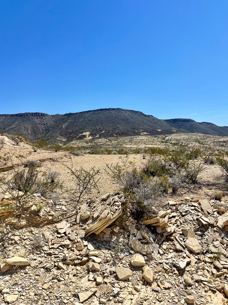 BLK 217 Mailbox Rd, Terlingua, Texas image 40