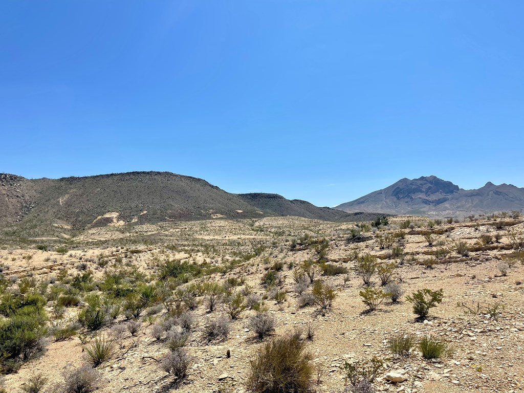 BLK 217 Mailbox Rd, Terlingua, Texas image 10