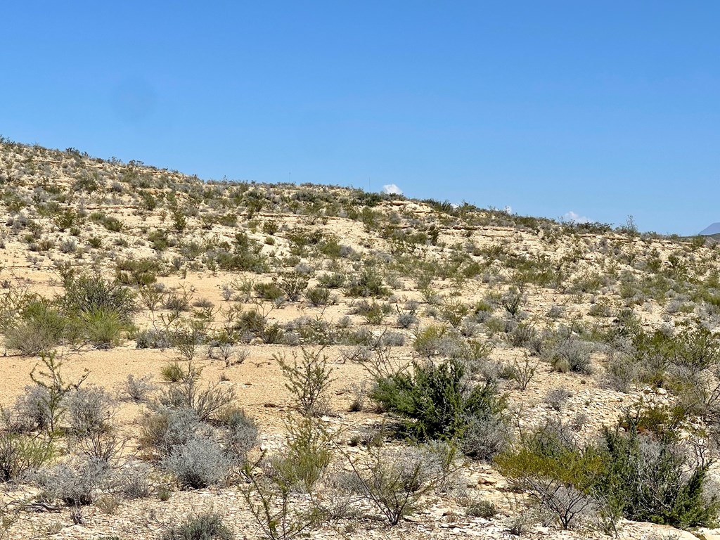 BLK 217 Mailbox Rd, Terlingua, Texas image 17