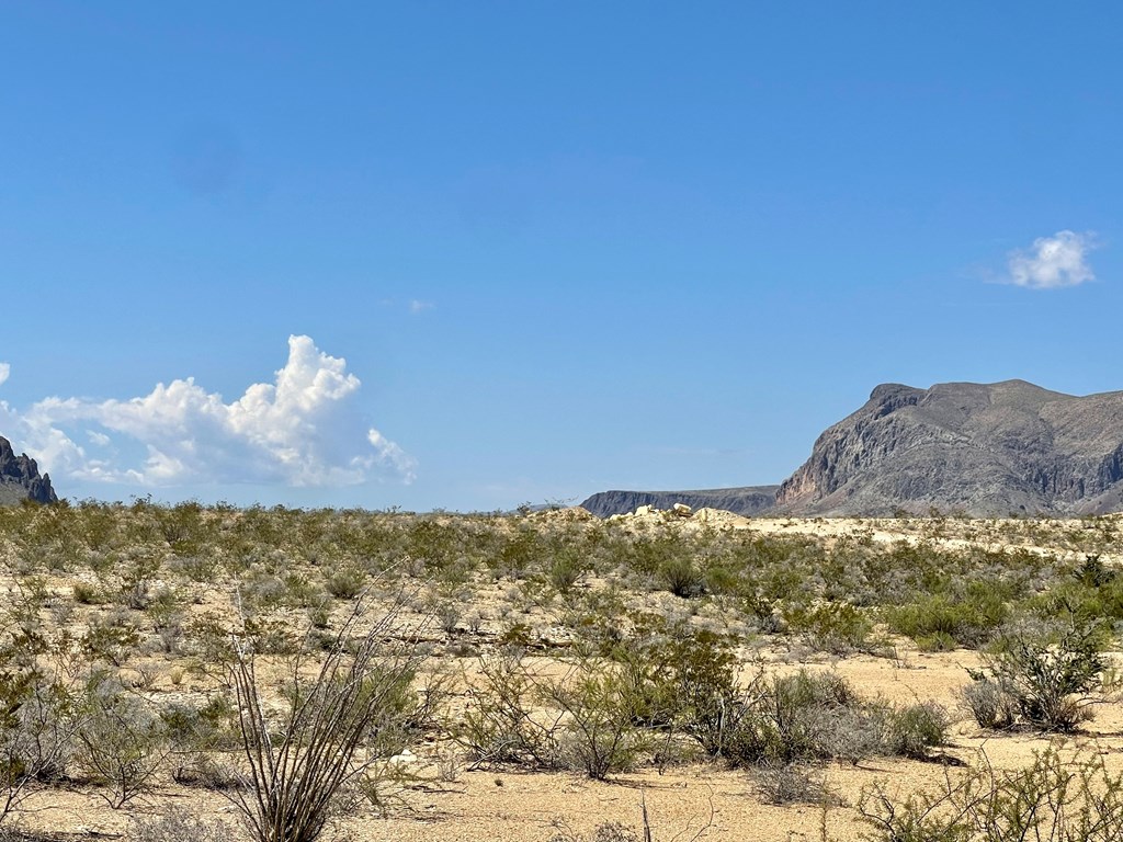 BLK 217 Mailbox Rd, Terlingua, Texas image 15