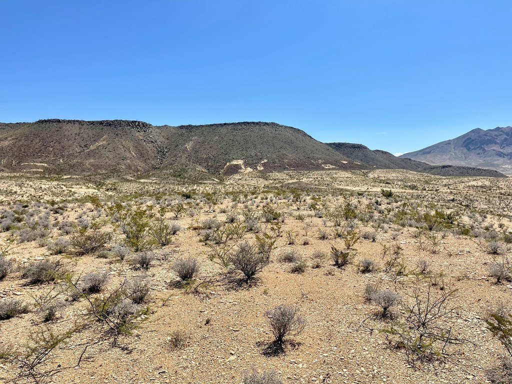 BLK 217 Mailbox Rd, Terlingua, Texas image 8