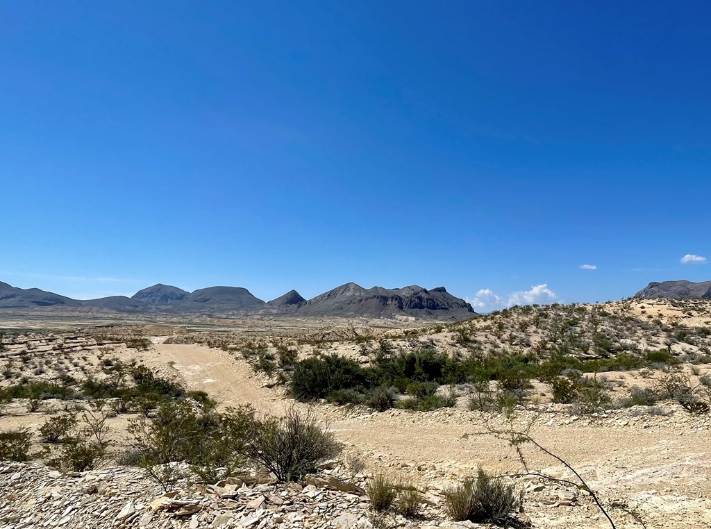 BLK 217 Mailbox Rd, Terlingua, Texas image 44